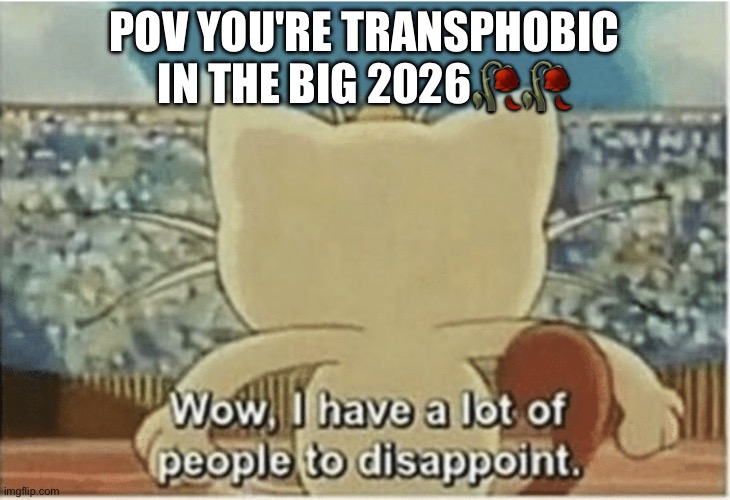 Transphobic People Don't Have Braincells" | POV You're Transphobic In The Big 2026🥀🥀 | image tagged in wow i have a lot of people to disappoint,trans rights are human rights,trans | made w/ Imgflip meme maker