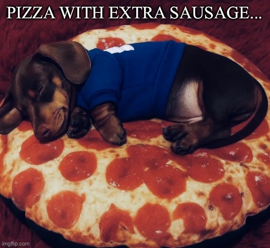 Sausage pizza? | PIZZA WITH EXTRA SAUSAGE... | image tagged in funny,memes,dogs,food,pizza | made w/ Imgflip meme maker