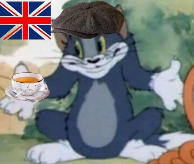 mayhaps tom and jerry Blank Meme Template