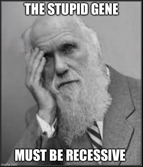 The stupid gene Must be recessive | image tagged in darwin facepalm | made w/ Imgflip meme maker