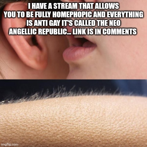 Whisper and Goosebumps | I have a stream that allows you to be fully homephopic and everything is anti gay it's called the neo angellic Republic... Link is in comments | image tagged in whisper and goosebumps | made w/ Imgflip meme maker