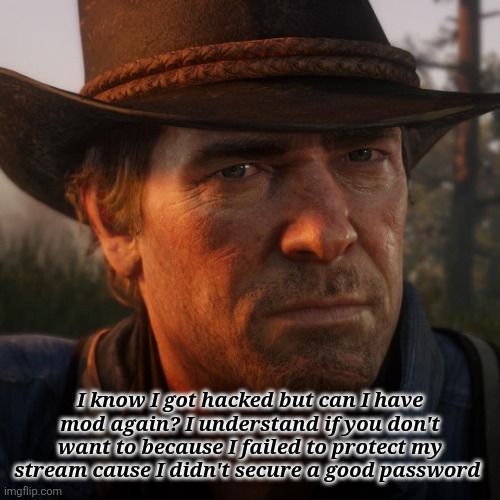 Red Dead Redemption 2 buffalo cards | I know I got hacked but can I have mod again? I understand if you don't want to because I failed to protect my stream cause I didn't secure a good password | image tagged in red dead redemption 2 buffalo cards | made w/ Imgflip meme maker