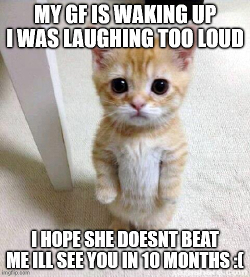 Cute Cat | my gf is waking up i was laughing too loud; i hope she doesnt beat me ill see you in 10 months :( | image tagged in memes,cute cat | made w/ Imgflip meme maker