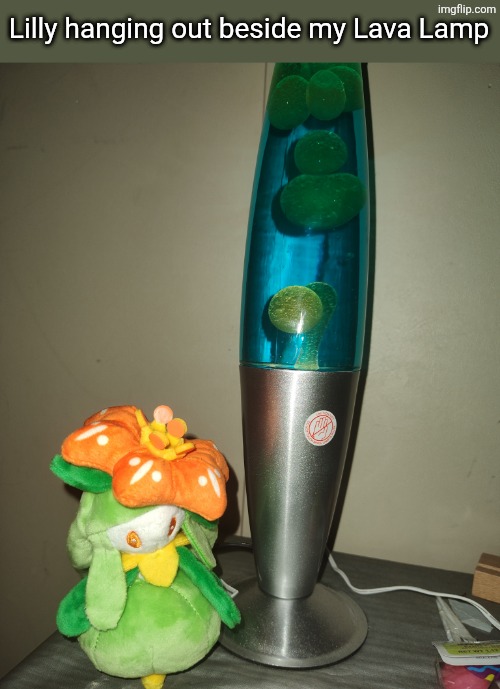 Lilly and my Lava Lamp. | Lilly hanging out beside my Lava Lamp | image tagged in lava lamp,lilly,pokemon | made w/ Imgflip meme maker