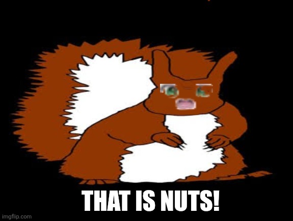 That is nuts! | image tagged in memes,squirrel,girl | made w/ Imgflip meme maker