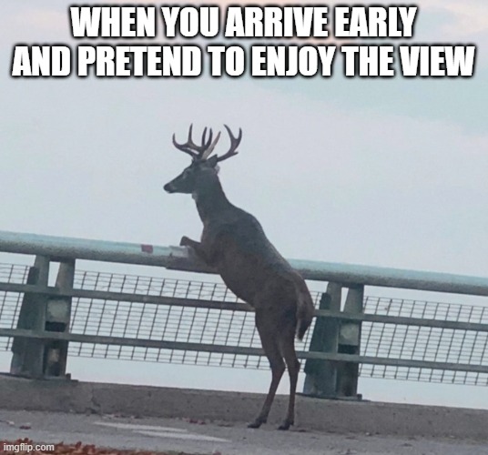 early | When you arrive early and pretend to enjoy the view | image tagged in memes | made w/ Imgflip meme maker