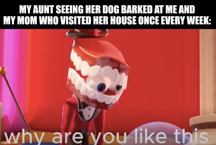 Caine why are you like this | My aunt seeing her dog barked at me and my mom who visited her house once every week: | image tagged in memes,aunt,doggo | made w/ Imgflip meme maker