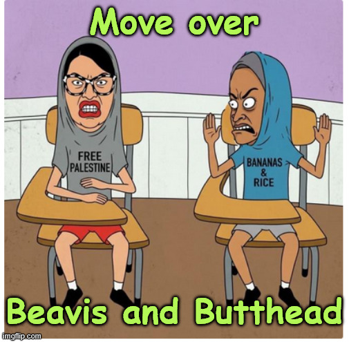 The new Beavis and Butthead | Move over; Beavis and Butthead | image tagged in the new beavis and butthead | made w/ Imgflip meme maker