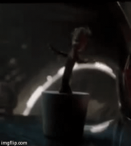 Baby Groot dancin' | image tagged in gifs,guardians of the galaxy,marvel | made w/ Imgflip video-to-gif maker
