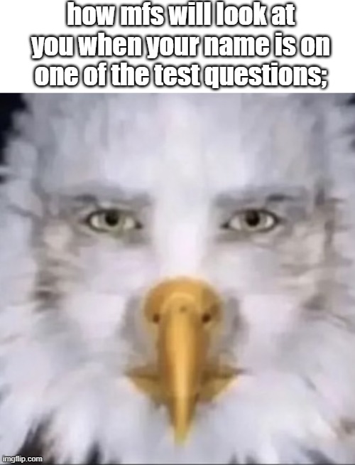 h | how mfs will look at you when your name is on one of the test questions; | image tagged in staring eagle | made w/ Imgflip meme maker