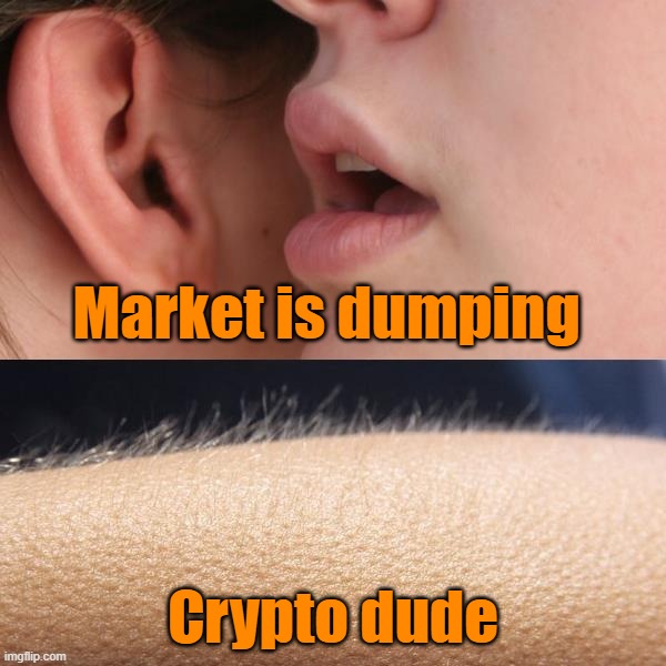 Crypto dudes right now | Market is dumping; Crypto dude | image tagged in whisper and goosebumps | made w/ Imgflip meme maker