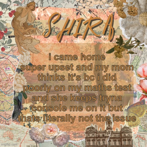 it’s because i think my friends are dropping me | i came home super upset and my mom thinks it’s bc i did poorly on my maths test and she keeps tryna console me on it but thats literally not the issue | image tagged in shira s sweet temp | made w/ Imgflip meme maker