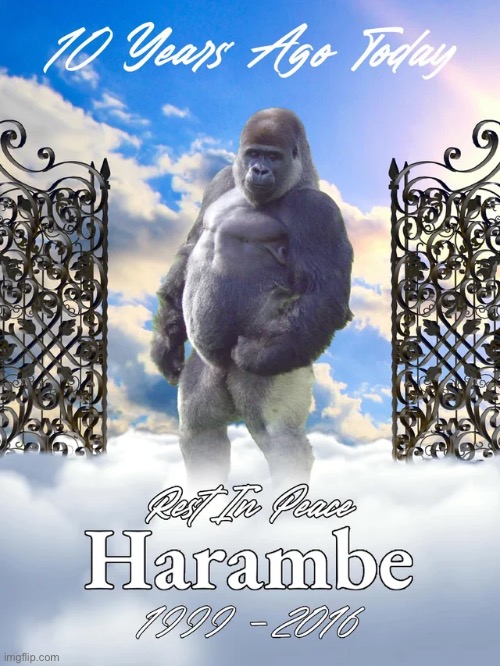 10 Years Ago Today | image tagged in memes,rip,harambe | made w/ Imgflip meme maker