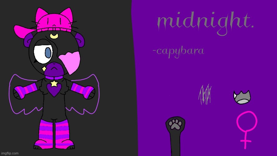 Midnight ref sheet | image tagged in 8ccfe1d0-81ec-4c2e-94d1-254dfe078a1a jpeg | made w/ Imgflip meme maker