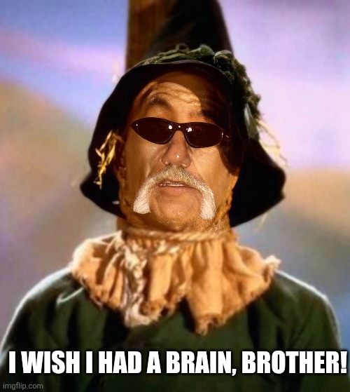 I wish I had a brain, brother! | made w/ Imgflip meme maker