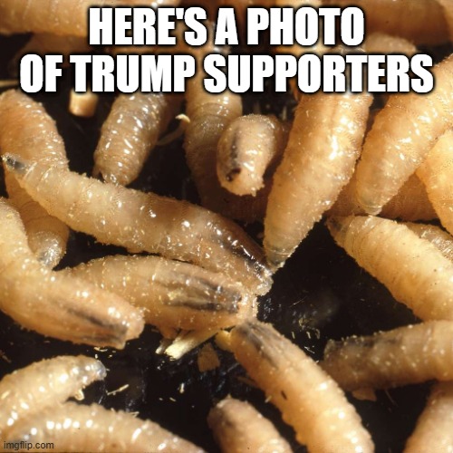 F Trump | here's a photo of trump supporters | image tagged in fucktrump | made w/ Imgflip meme maker