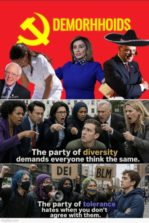 The party of Hypocrisy | image tagged in demorhhoids,img 46 jpeg,dumb people | made w/ Imgflip meme maker