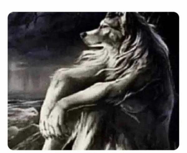 Lone wolf Blank Meme Template
