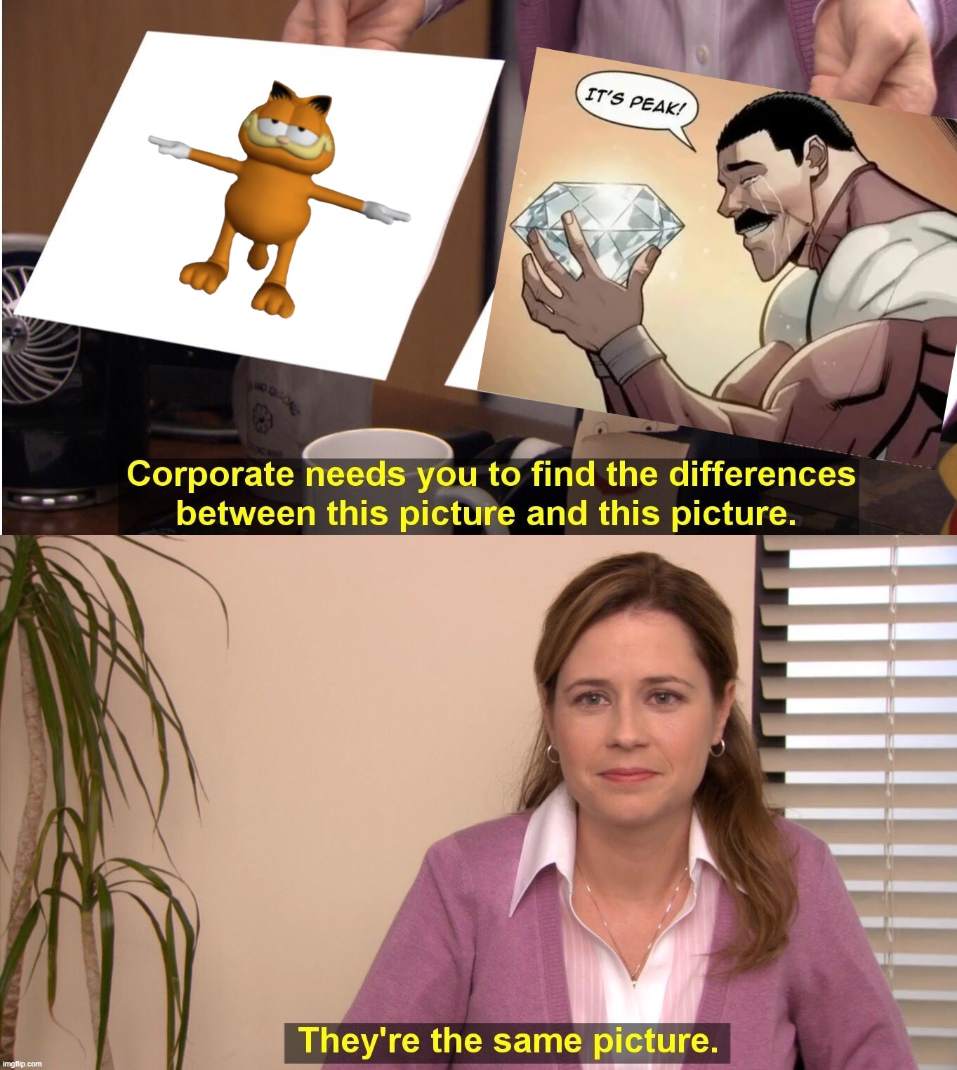 They're The Same Picture | image tagged in memes,they're the same picture | made w/ Imgflip meme maker