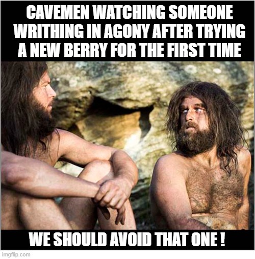 Food Testing In Ancient Times | Cavemen watching someone writhing in agony after trying a new berry for the first time; we should avoid that one ! | image tagged in ancient,food,testing,cavemen,poisoning | made w/ Imgflip meme maker
