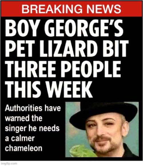 To Make You Smile | image tagged in boy george,breaking news,chameleon,attack,play on words | made w/ Imgflip meme maker
