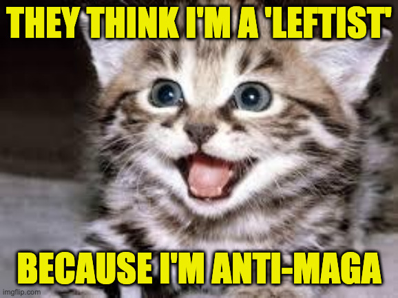 happy cat | they think i'm a 'leftist' because i'm anti-maga | image tagged in happy cat | made w/ Imgflip meme maker