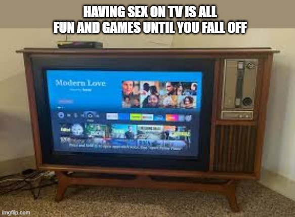 Sex on TV is all fun and games until you fall off. | having sex on tv is all fun and games until you fall off | image tagged in funny,humor,play on words,sex,television,tv | made w/ Imgflip meme maker