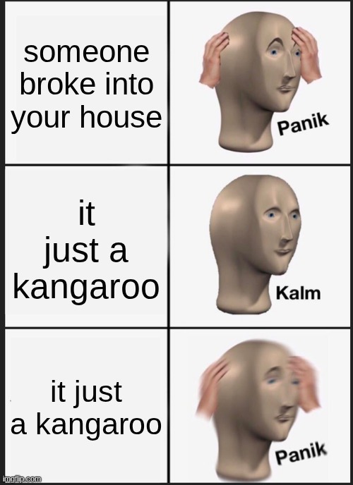 Panik Kalm Panik Meme | someone broke into your house; it just a kangaroo; it just a kangaroo | image tagged in memes,panik kalm panik | made w/ Imgflip meme maker