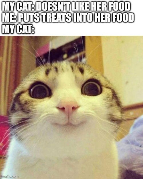 How to make your cat SUDDENLY like their food | My cat: doesn't like her food
Me: puts treats into her food
My cat: | image tagged in memes,smiling cat | made w/ Imgflip meme maker