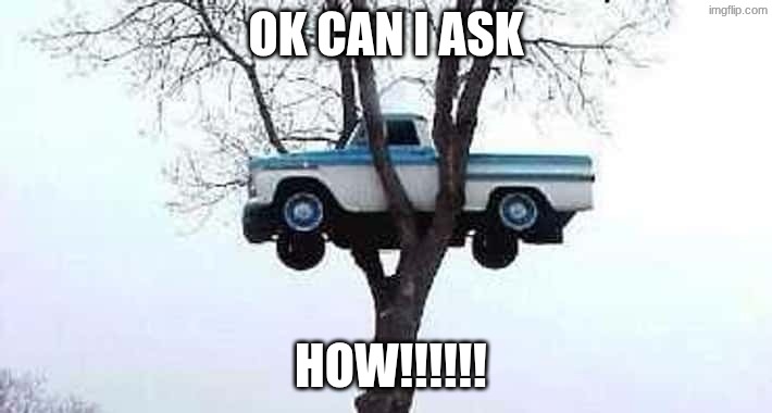 ummmmmm | ok can i ask; How!!!!!! | image tagged in how | made w/ Imgflip meme maker