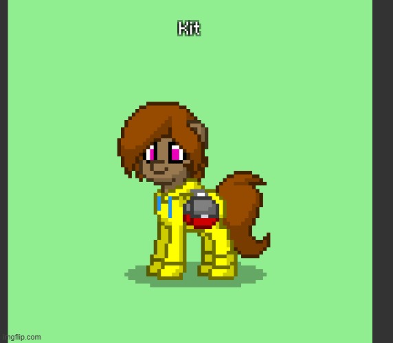 High Quality Kit in Pony Town Blank Meme Template