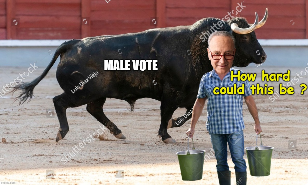 This week on "When Jews embrace Philandering Nazi's" | How hard could this be ? male vote | image tagged in schumer platner male vote bull milking meme | made w/ Imgflip meme maker
