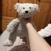 bear plush choking Blank Meme Template
