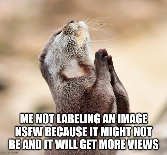 It never works | Me not labeling an image Nsfw because it might not be and it will get more views | image tagged in animal praying,sfw | made w/ Imgflip meme maker