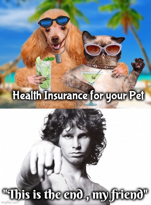 How far we have come | Health Insurance for your Pet; "This is the end , my friend" | image tagged in cat and dog sipping cocktails,this is the end jim morrison,progress,well yes but actually no,billy learning about money | made w/ Imgflip meme maker
