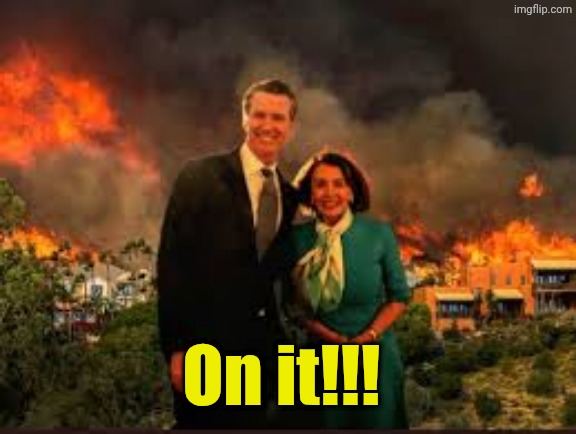 On it!!! | image tagged in pelosi newsom | made w/ Imgflip meme maker
