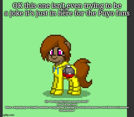 Kit in Pony Town | OK this one isn't even trying to be a joke it's just in here for the Puyo fans; Kit: "So what villains have you guys faced?"
Arle: "Oh you know
Satan, a doppelganger of myself, a sentient cat puppet, and a shadow guy who has the power to travel between dimensions
To name a few" | image tagged in kit in pony town | made w/ Imgflip meme maker