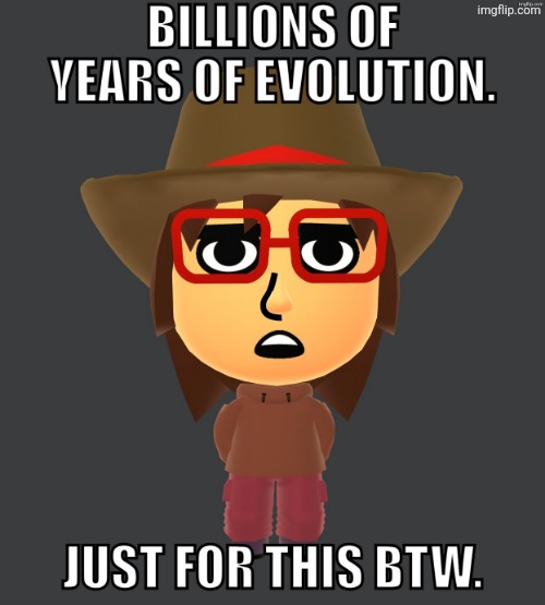 billions of years of evolution | image tagged in billions of years of evolution | made w/ Imgflip meme maker