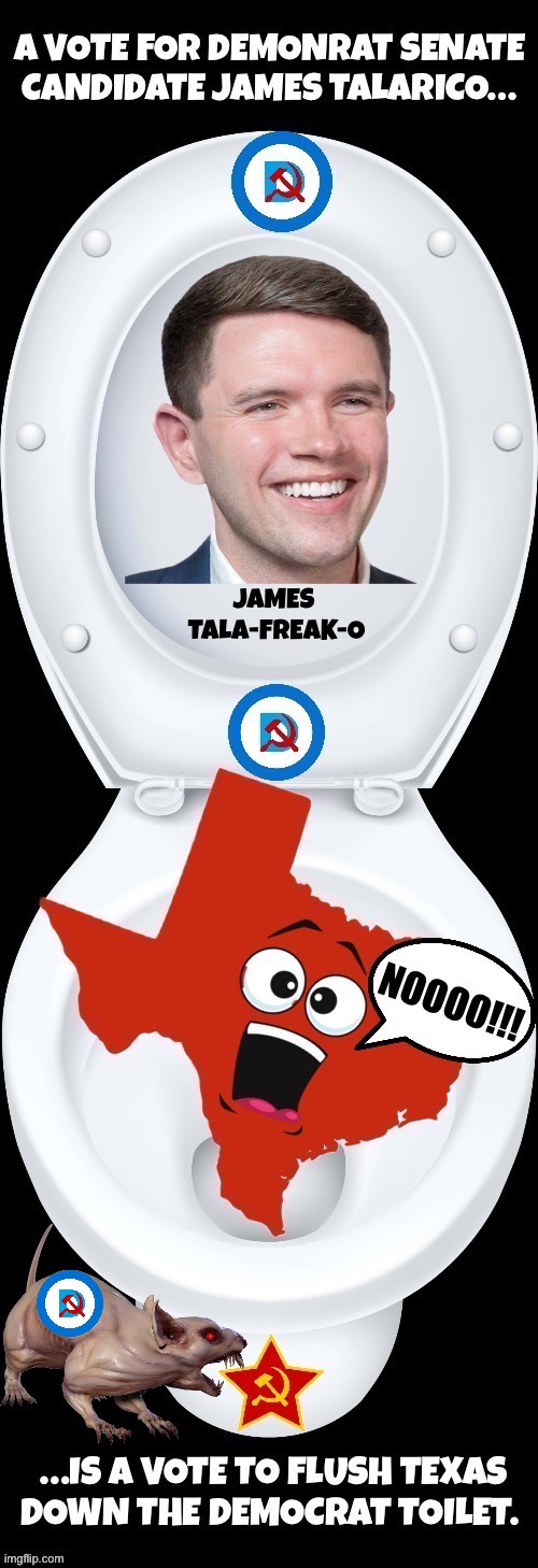 He’s weird… and freaky | image tagged in political meme,james talarico,texas,down the toilet,senate candidate,demonrat | made w/ Imgflip meme maker