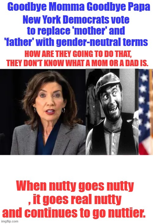 Dems are a bunch of fin lunatics | made w/ Imgflip meme maker
