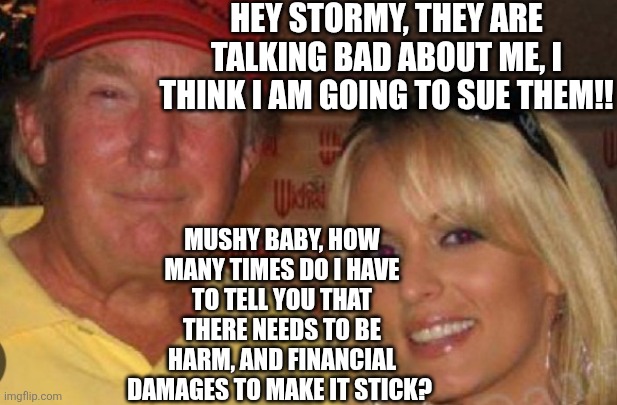 Financial losses?  Hahaha | Hey stormy, they are talking bad about me, I think i am going to sue them!! Mushy baby, how many times do I have to tell you that there needs to be harm, and financial damages to make it stick? | image tagged in side chick | made w/ Imgflip meme maker