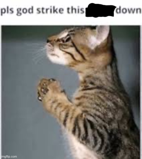 Random images I accidentally saved as private temps #3 | image tagged in img_4334 jpeg | made w/ Imgflip meme maker