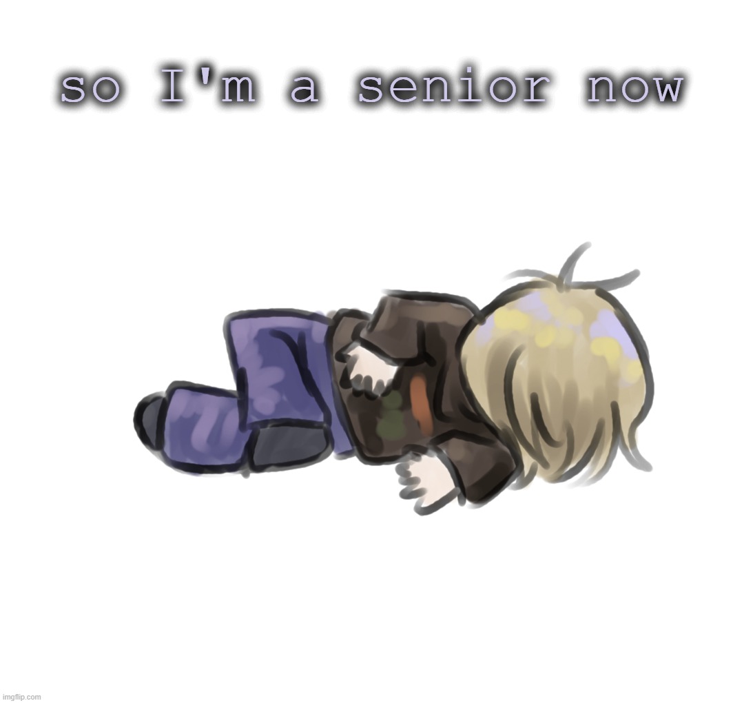 old | so I'm a senior now | image tagged in dead disco | made w/ Imgflip meme maker