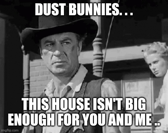 Dust bunnies. . . This house isn't big enough for you and me .. | made w/ Imgflip meme maker