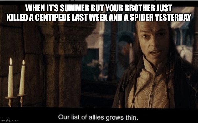 Mosquitoes, 10,000 strong at least… | When it’s summer but your brother just killed a centipede last week and a spider yesterday | image tagged in our list of allies grows thin | made w/ Imgflip meme maker