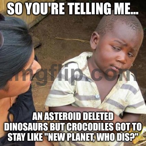 SO YOU'RE TELLING ME... THE ASTEROID DELETED DINOSAURS AND AMMONITES, BUT CROCODILES JUST HIT "SURVIVE" AND KEPT SWIMMING? | SO YOU'RE TELLING ME... AN ASTEROID DELETED DINOSAURS BUT CROCODILES GOT TO STAY LIKE "NEW PLANET, WHO DIS?" | image tagged in memes,third world skeptical kid,extinction,dinosaurs,reptile,asteroid | made w/ Imgflip meme maker