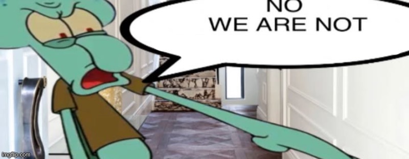 No, we are not doing this again | image tagged in no we are not doing this again | made w/ Imgflip meme maker