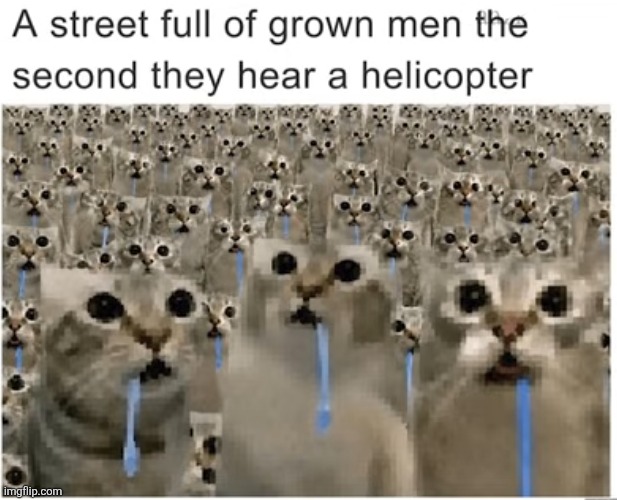 image tagged in helicopter,men,cats,drool,cool,relatable | made w/ Imgflip meme maker