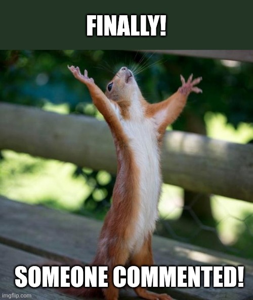 finally | Finally! Someone commented! | image tagged in finally | made w/ Imgflip meme maker