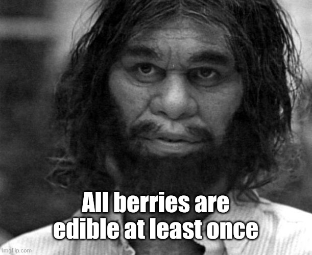 Geico Caveman | All berries are edible at least once | image tagged in geico caveman | made w/ Imgflip meme maker